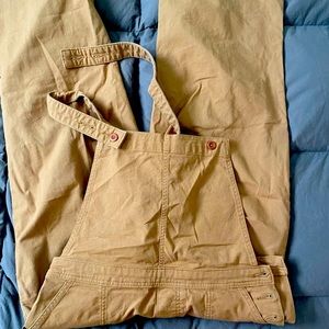Patagonia stand up cropped overalls